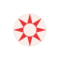 I-Contact 角色扮演及萬聖節 隱形眼鏡 Wild Red Star(半年拋/2片)