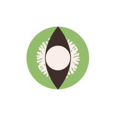 I-Contact 角色扮演及萬聖節 隱形眼鏡 Reptile(半年拋/2片)