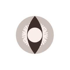 I-Contact 角色扮演及萬聖節 隱形眼鏡 Gray Snake(半年拋/2片)