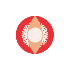 I-Contact 角色扮演及萬聖節 隱形眼鏡 Red Snake(半年拋/2片)