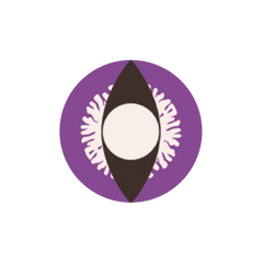 I-Contact 角色扮演及萬聖節 隱形眼鏡 Brown Snake(半年拋/2片)