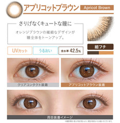 EverColor 1 Day Natural Apricot Brown 日拋美瞳隱形眼鏡(20片)