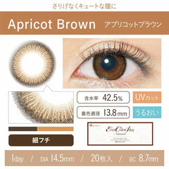 EverColor 1 Day Natural Apricot Brown 日拋美瞳隱形眼鏡(20片)