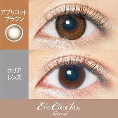 EverColor 1 Day Natural Apricot Brown 日拋美瞳隱形眼鏡(20片)