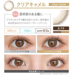 EverColor 1 Day Natural Clear Camel 日拋美瞳(20片)
