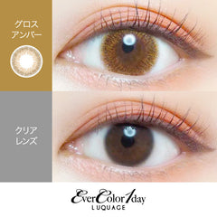 EverColor 1 Day LUQUAGE Gloss Amber 日拋彩色美瞳隱形眼鏡(10片)
