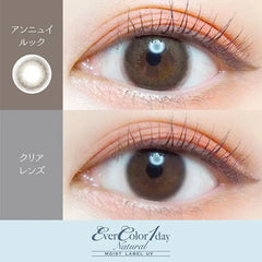 EverColor 1 Day Natural Moist Label Annules 日拋美瞳(20片)