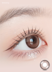 Lensrang 1-Day Daylook Choco（日拋/10片）