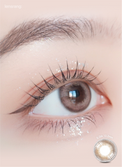 Lensrang 1-Month Credit Brown（月拋／2片）