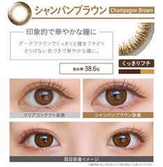 EverColor 1 Day Natural Champagne Brown 日拋美瞳隱形眼鏡（20片）