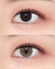 Olens 1-Day French Shine Olive（日拋/10片）