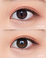 OLENS 1-Day Rain Mocha（日拋/10片）