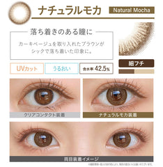 EverColor 1 Day Natural Mocha 日拋美瞳（20片）