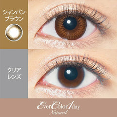 EverColor 1 Day Natural Champagne Brown 日拋美瞳隱形眼鏡（20片）