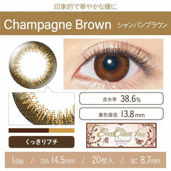 EverColor 1 Day Natural Champagne Brown 日拋美瞳隱形眼鏡（20片）