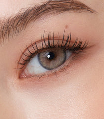 Olens Nella 1Day Ash Beige 日拋美瞳隱形眼鏡（10片）