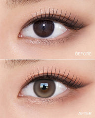 OLENS 1-Day Muse Shine Brown（日拋/10片）