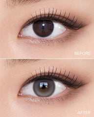 OLENS 1-Day Muse Shine Gray（日拋/10片）