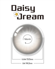 Lenstown 梨芝瞳 Daisy Dream Brown 月拋（2片）