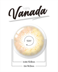 Lenstown 梨芝瞳 Lighly Vanada Orange Brown 美瞳日拋（20片）
