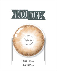 Lenstown 梨芝瞳 Pocopong Brown 月拋（1片）