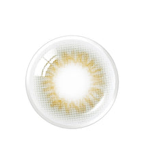 Olens Scandi Gray（月拋/2片）