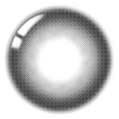 Lenstown City of Black Black（日拋/10片）