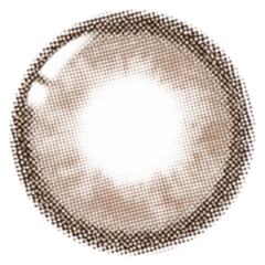 Lenstown Chocolato Choco Brown（日拋/10片）