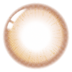 Lenstown 247BB Honey Brown（日拋/10片）