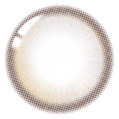 Lenstown 247BB Oat Gray（日拋/10片）