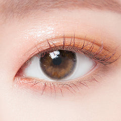 Lenstown 247 With Me 1-Day Brown（日拋/10片）