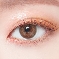 Lenstown 1-Day Lighly Pure Brown（日拋/20片）