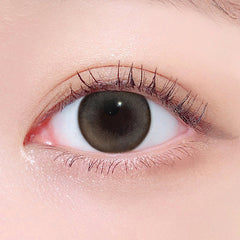 Lenstown 247BB Oat Gray（日拋/10片）