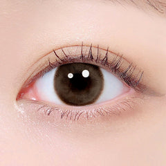 Lenstown Chocolato Choco Brown（日拋/10片）