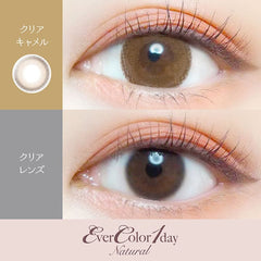 EverColor 1 Day Natural Clear Camel 日拋美瞳（20片）