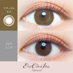 EverColor 1 Day Natural Mocha 日拋美瞳（20片）