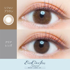 EverColor 1 Day Natural Moist Label Chiffon Brown 日拋彩色美瞳隱眼（20片）