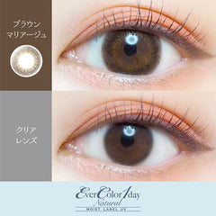 EverColor 1 Day Natural Moist Label Brown Mariage 日拋彩色美瞳隱眼（20片）