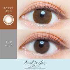 EverColor 1 Day Natural Moist Label Innocent Glam 日拋彩色美瞳隱眼（20片）