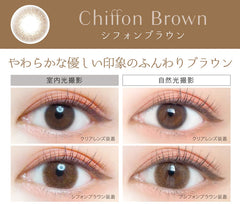 EverColor 1 Day Natural Moist Label Chiffon Brown 日拋彩色美瞳隱眼（20片）