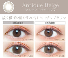 EverColor 1 Day Natural Moist Label Antique Beige 日拋美瞳（20片）