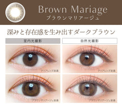 EverColor 1 Day Natural Moist Label Brown Mariage 日拋彩色美瞳隱眼（20片）