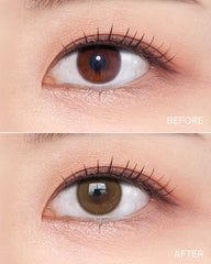 OLENS 1-Day Shine Touch Milky Brown（日拋/20片）