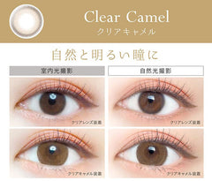 EverColor 1 Day Natural Clear Camel 日拋美瞳（20片）