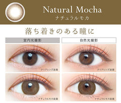 EverColor 1 Day Natural Mocha 日拋美瞳（20片）